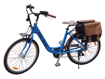 Электровелосипед Elbike Monro