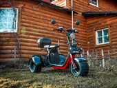 Электротрицикл White Siberia PRO TRIKE 3000W - Фото 18