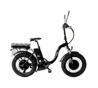 Elbike Taiga 1 Twix 2000