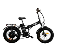 Elbike Taiga 2 Elite