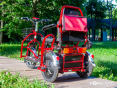 Электротрицикл Elbike Адъютант Double Twix A4 - Фото 4